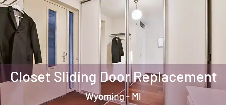 Closet Sliding Door Replacement Wyoming - MI