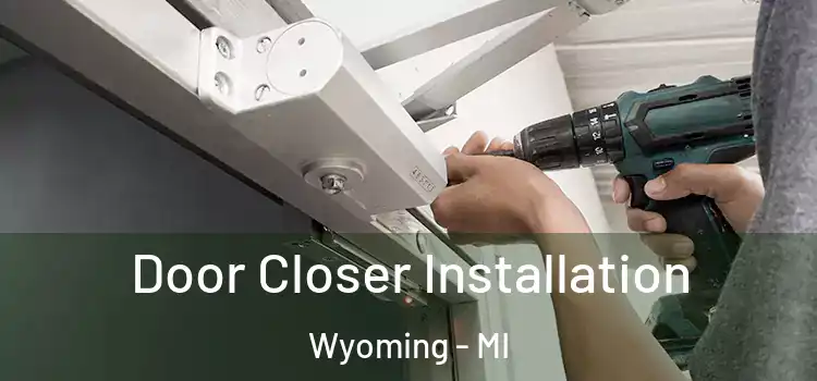  Door Closer Installation Wyoming - MI