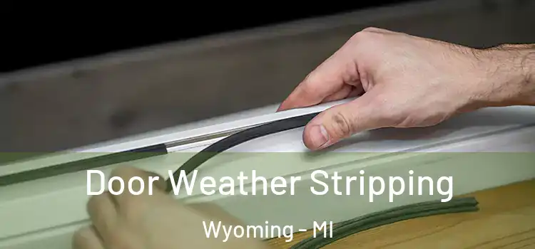 Door Weather Stripping Wyoming - MI