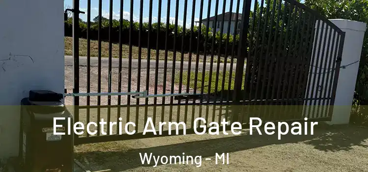 Electric Arm Gate Repair Wyoming - MI