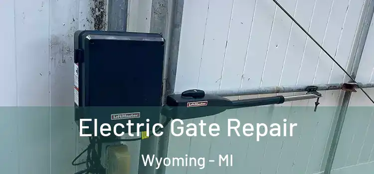 Electric Gate Repair Wyoming - MI