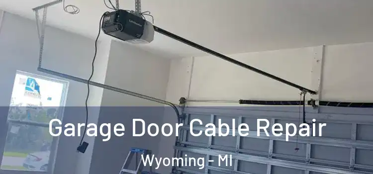  Garage Door Cable Repair Wyoming - MI