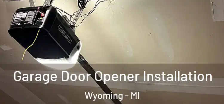  Garage Door Opener Installation Wyoming - MI