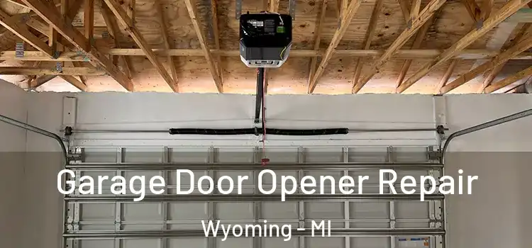  Garage Door Opener Repair Wyoming - MI