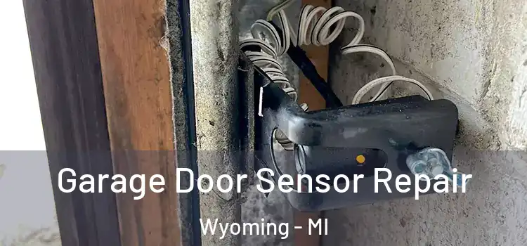 Garage Door Sensor Repair Wyoming - MI