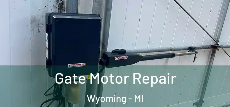 Gate Motor Repair Wyoming - MI