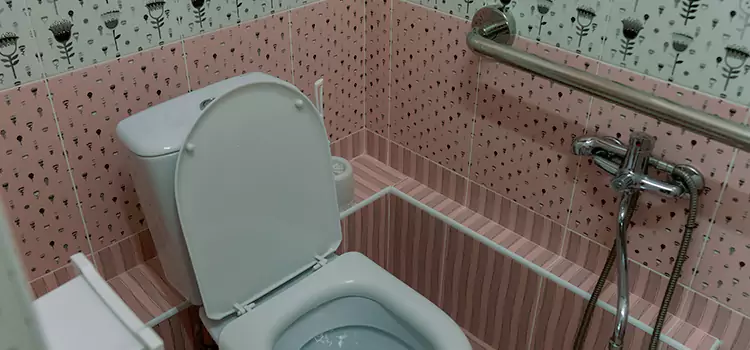 Meeting Diverse Needs With Accessible Restroom Solutions in Wyoming, MI