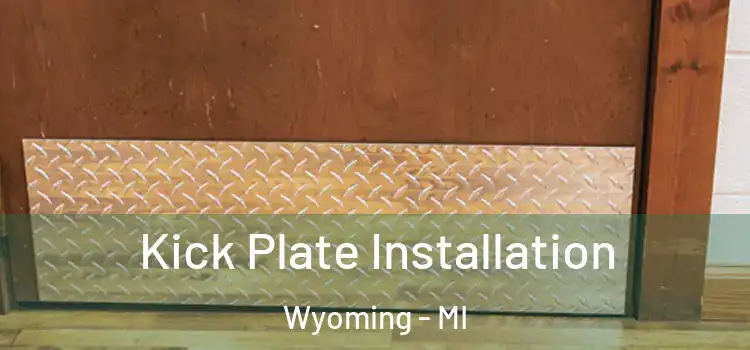 Kick Plate Installation Wyoming - MI