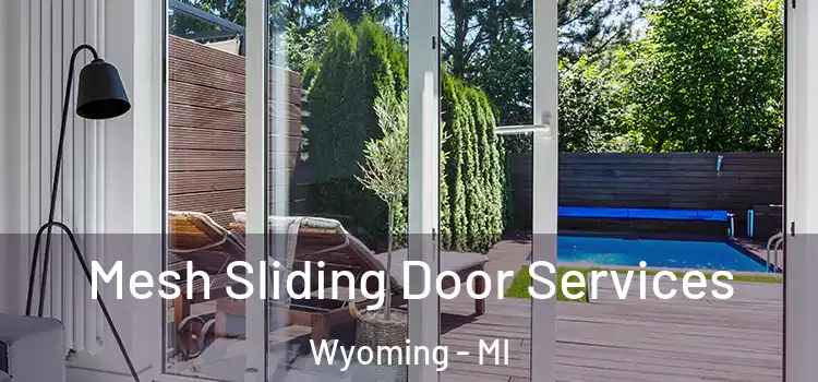 Mesh Sliding Door Services Wyoming - MI
