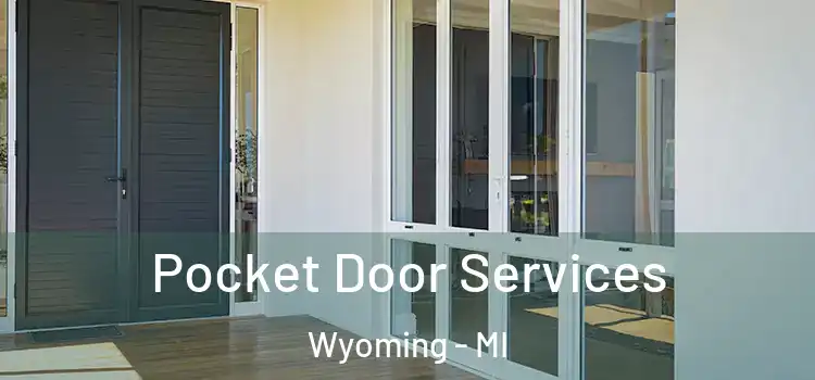 Pocket Door Services Wyoming - MI