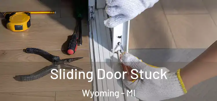 Sliding Door Stuck Wyoming - MI